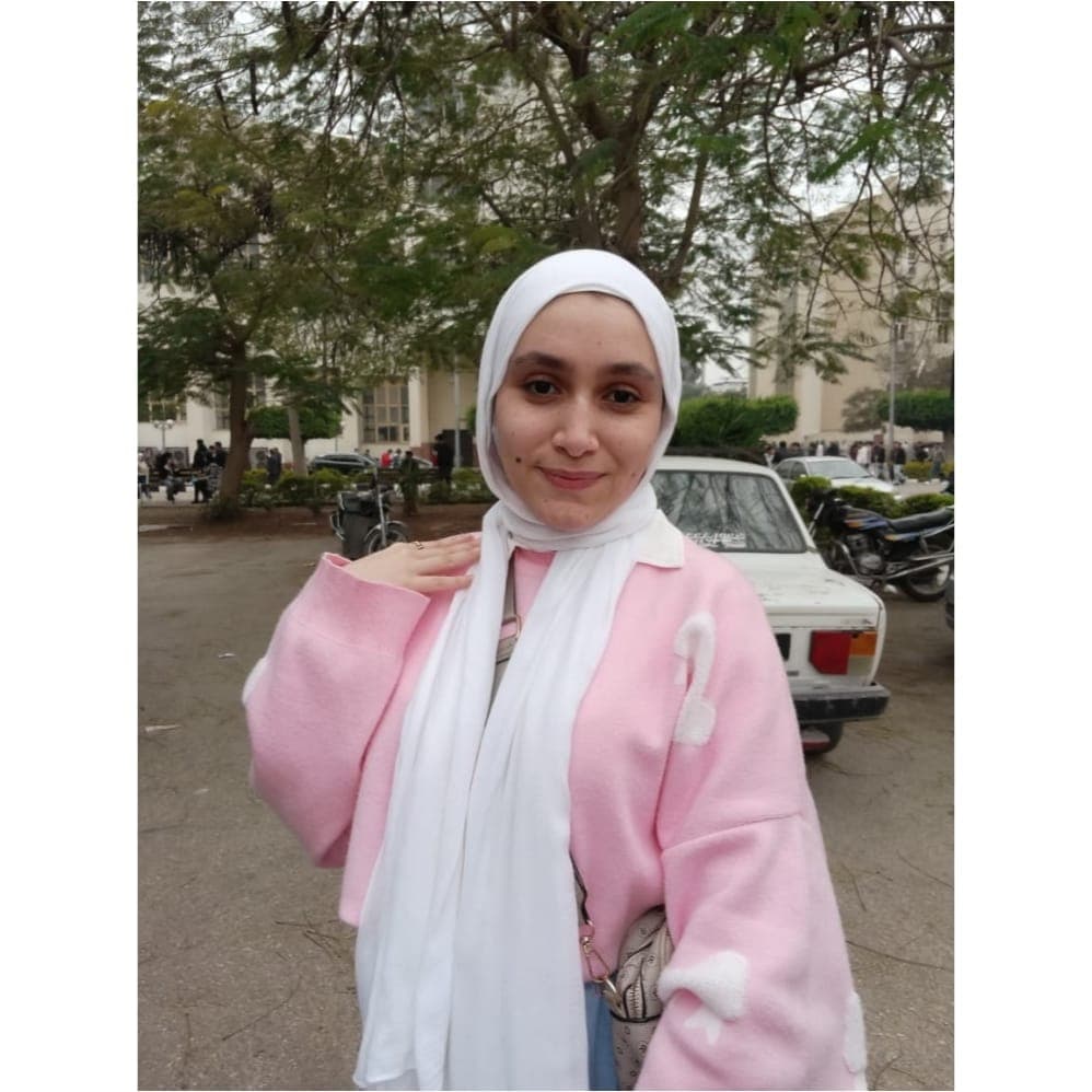 Shams Mohamed — Cybersecurity Mentor at MEGA